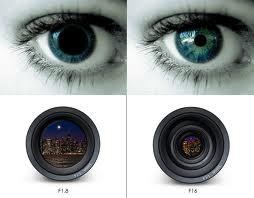 Image, top left - Eye with big pupil, top right - Eye with small pupil. Bottom left camera with a fully open lens, Bottom right - camera with semi-shut lens 