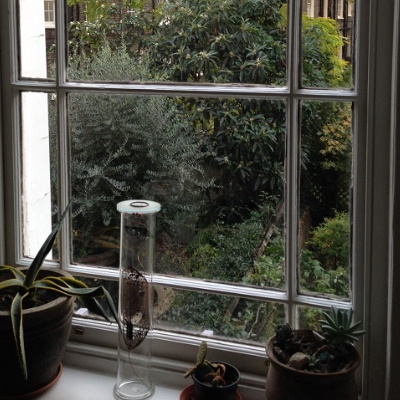 3M Thinsulate Conservatory Window Film